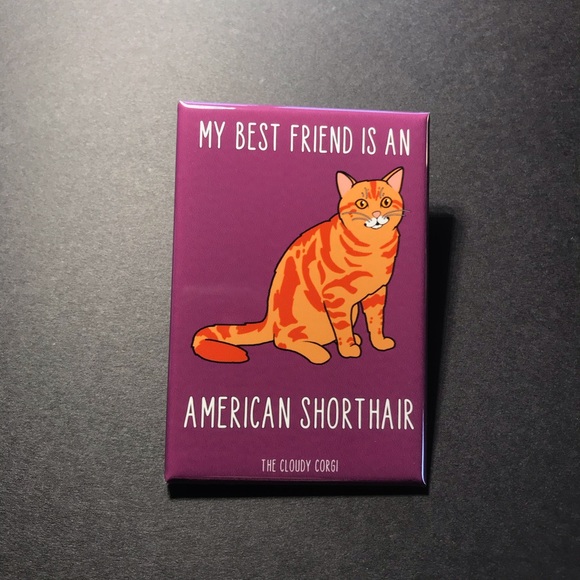 American Shorthair Cat Magnet Handmade Kitty Decor - Picture 2 of 8